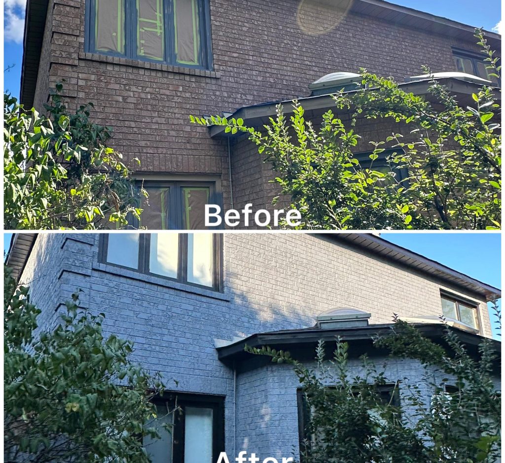 WhatsApp Image 2026-02-28 at 23.33.11 (3)