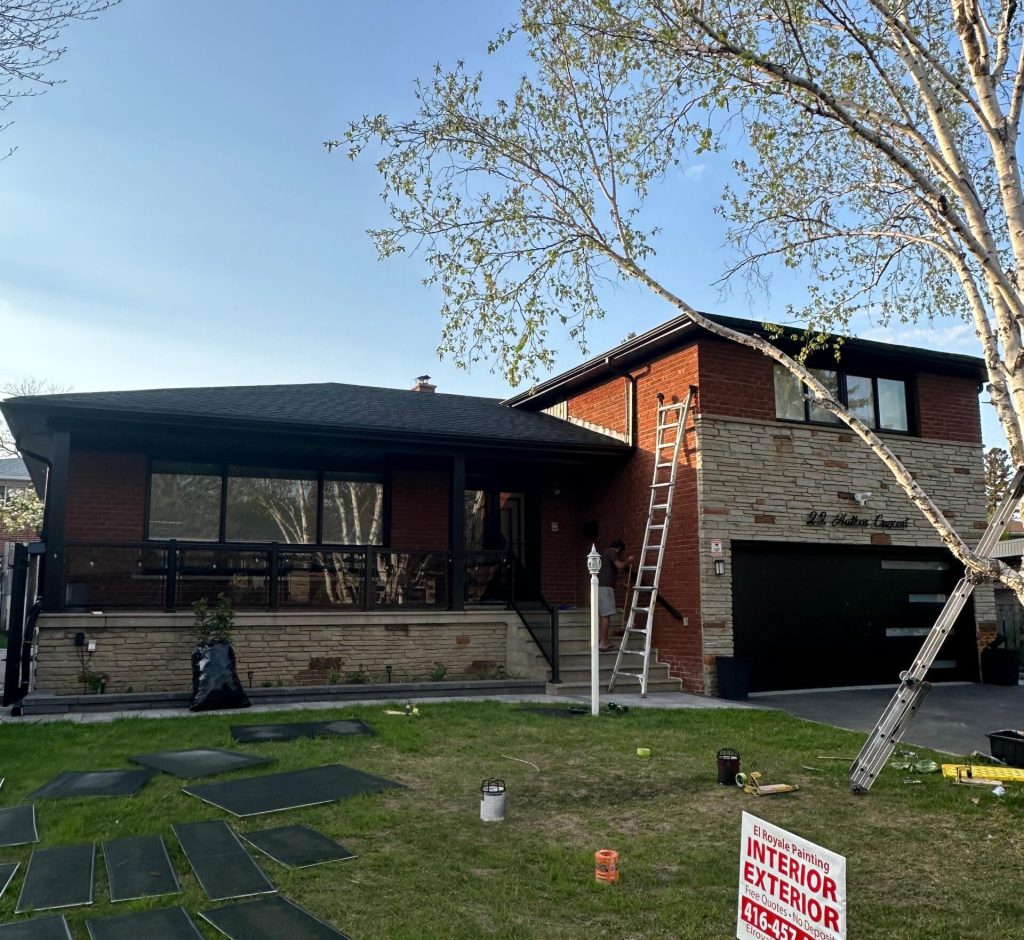 WhatsApp Image 2026-02-28 at 23.33.13 (1)