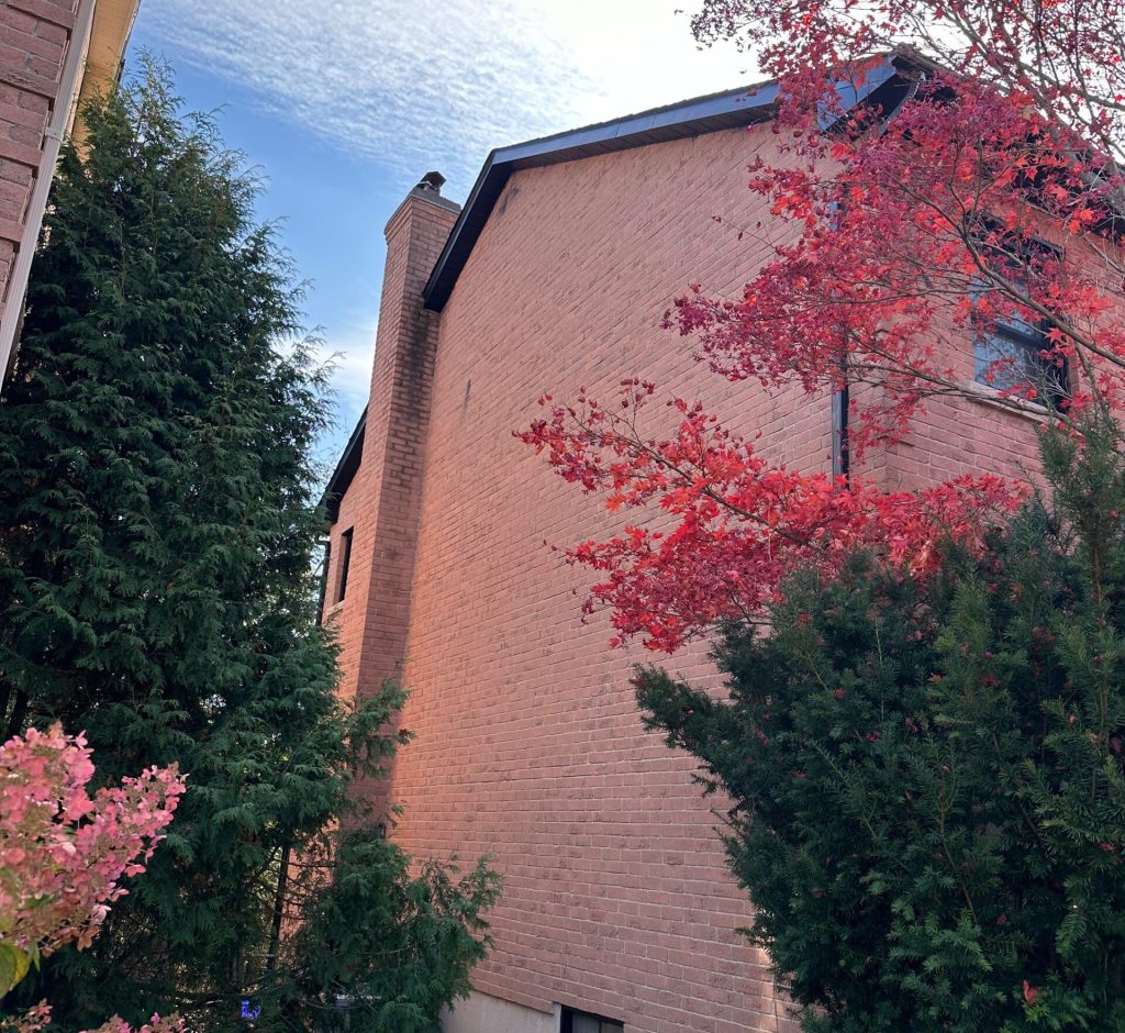 WhatsApp Image 2026-02-28 at 23.51.15 (1)