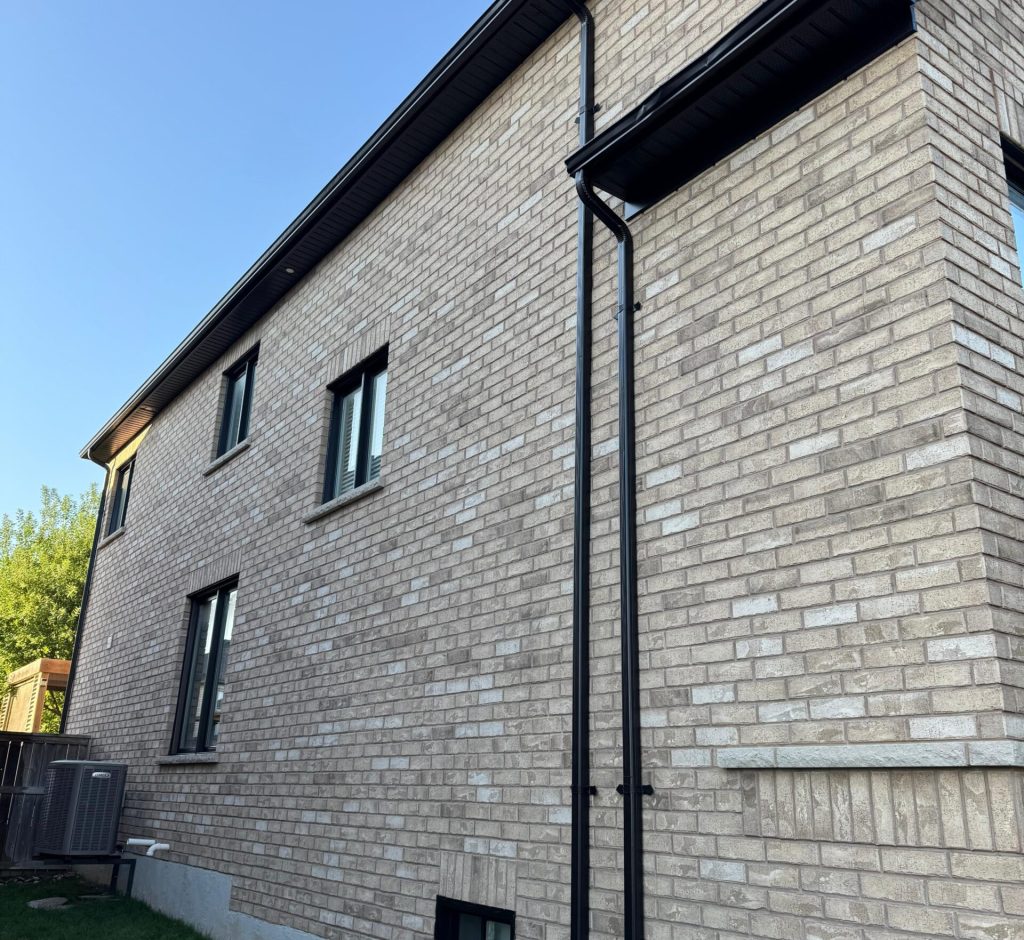 WhatsApp Image 2026-02-28 at 23.51.16