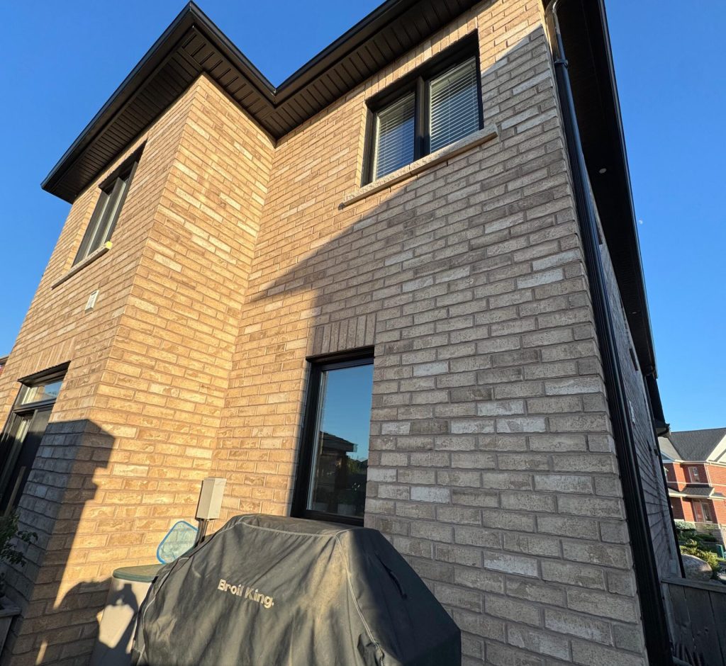 WhatsApp Image 2026-02-28 at 23.51.17