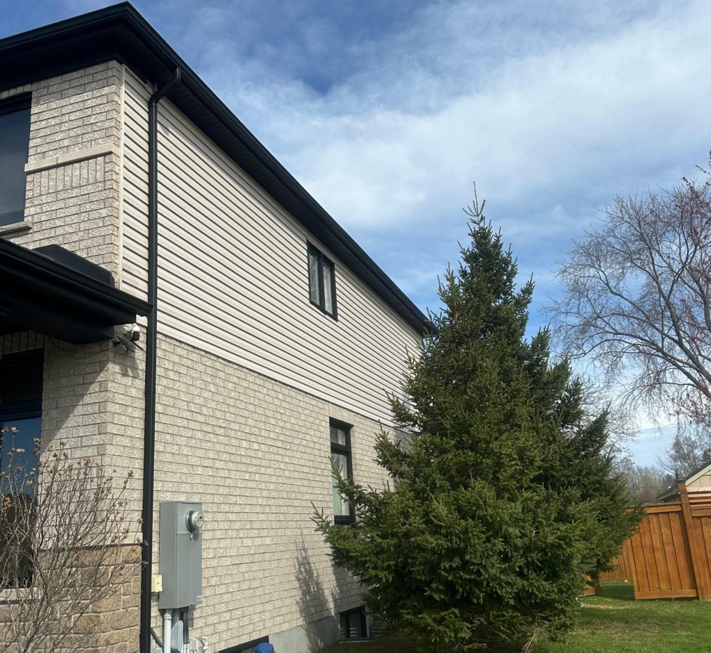 WhatsApp Image 2026-03-01 at 00.00.20