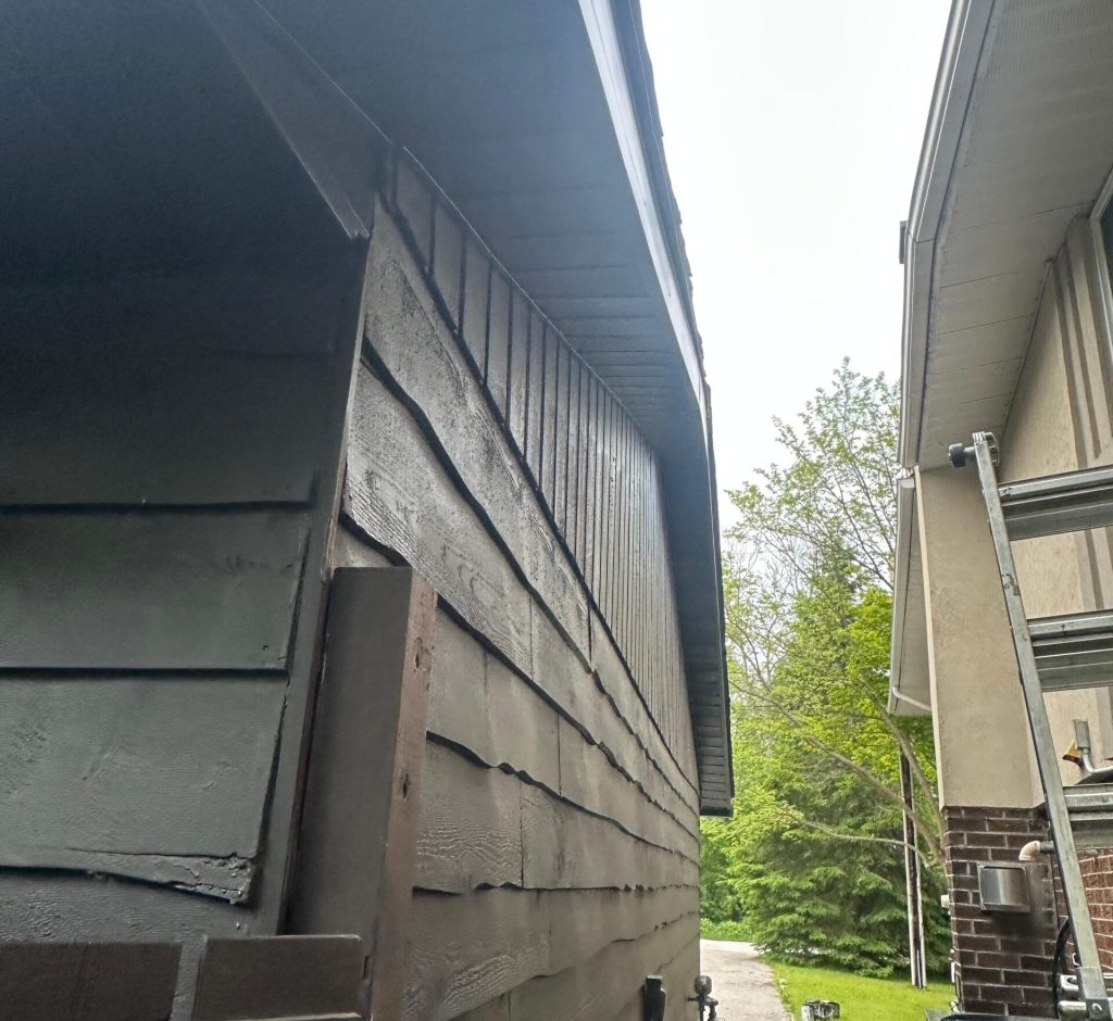 WhatsApp Image 2026-03-01 at 00.00.23 (3)