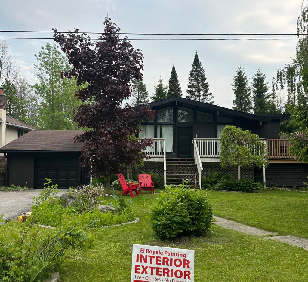 WhatsApp Image 2026-03-01 at 00.00.23 (4)