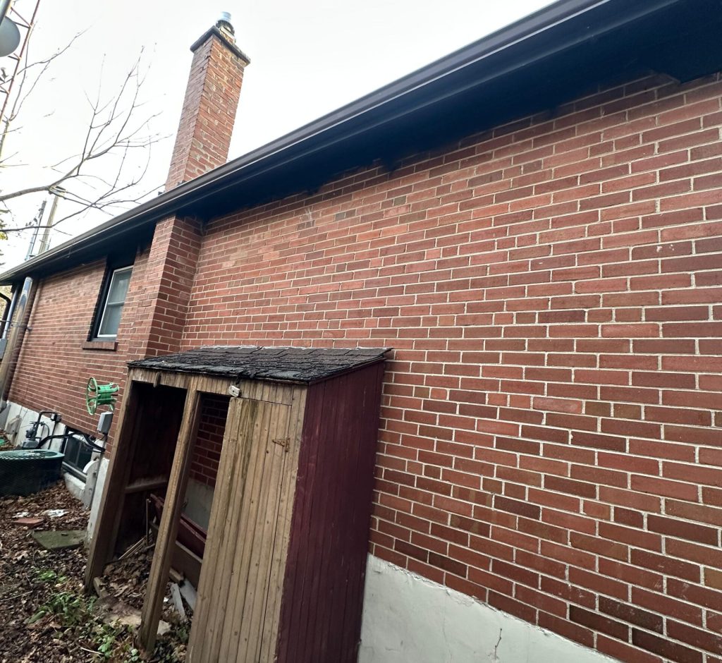 WhatsApp Image 2026-03-01 at 00.03.13 (1)