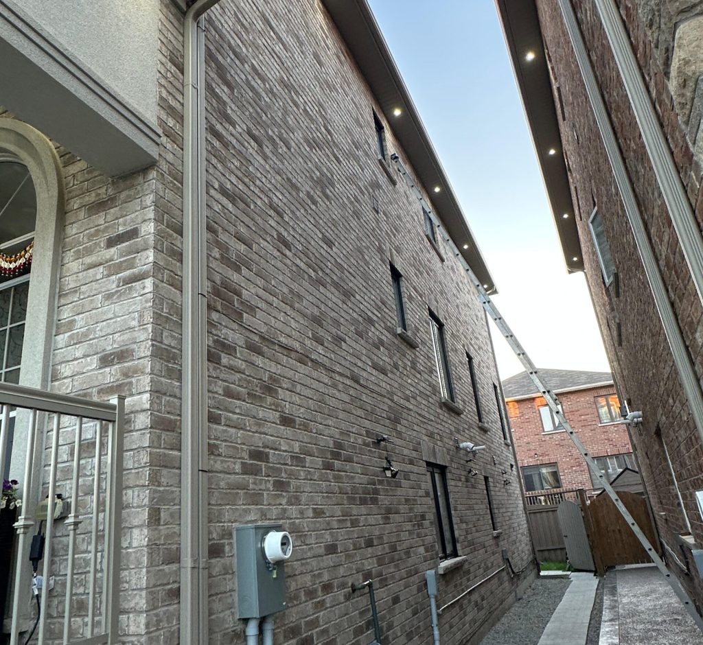 WhatsApp Image 2026-03-01 at 00.06.39