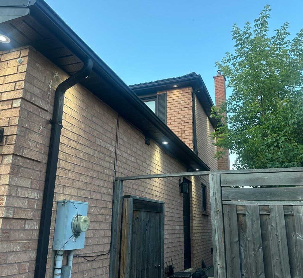 WhatsApp Image 2026-03-01 at 00.06.40