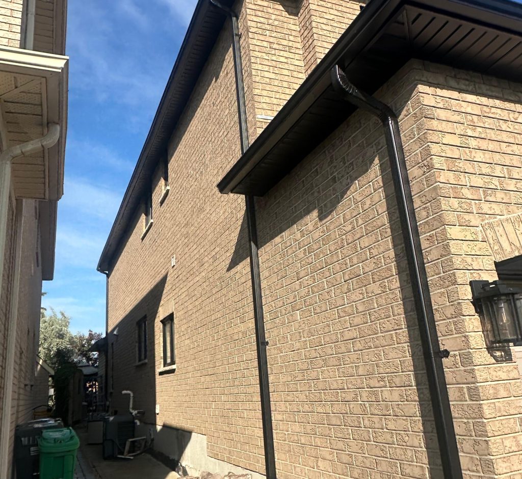 WhatsApp Image 2026-03-01 at 00.09.31 (1)