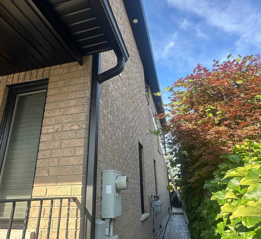 WhatsApp Image 2026-03-01 at 00.09.32 (1)