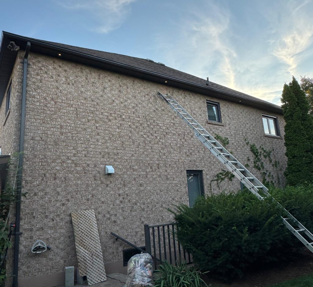 WhatsApp Image 2026-03-01 at 00.09.34