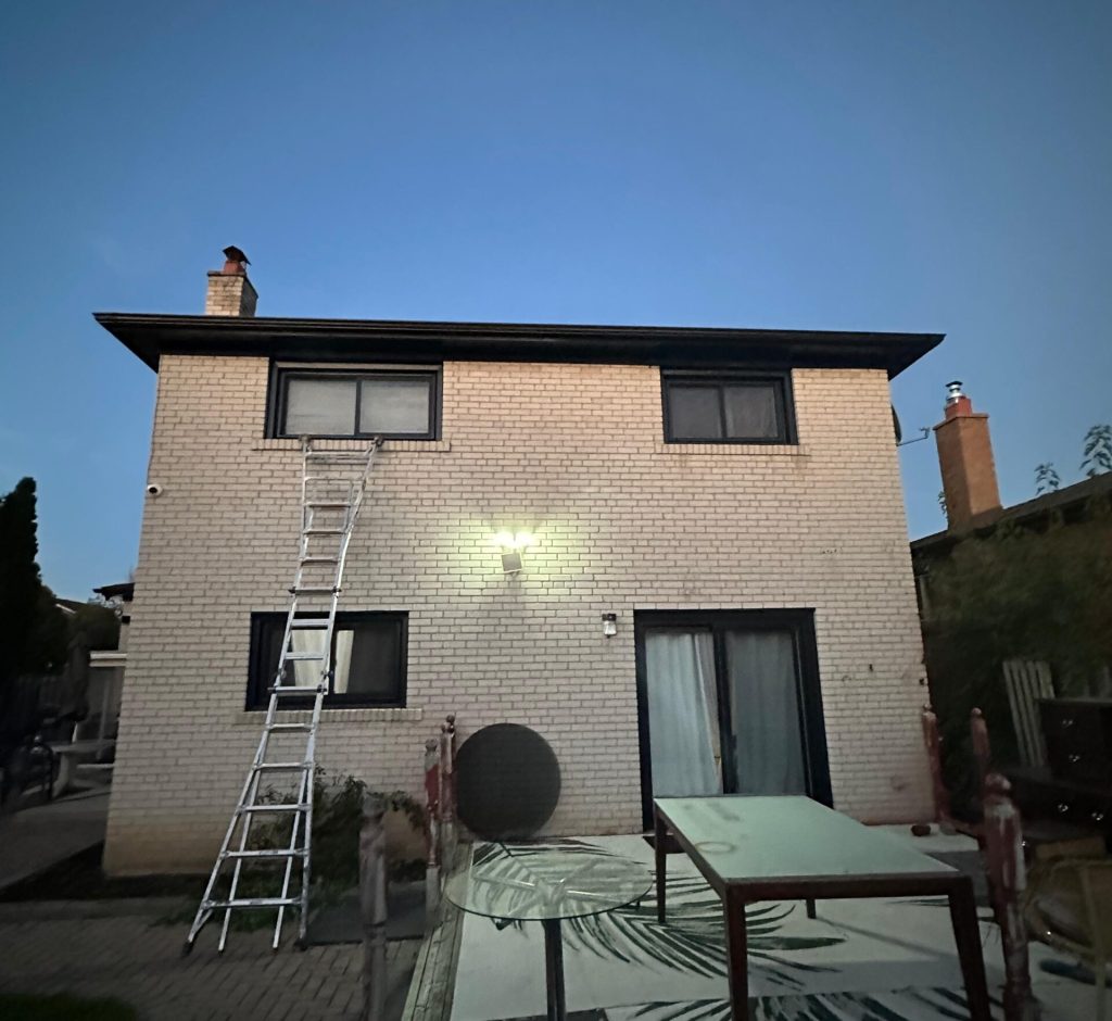 WhatsApp Image 2026-03-01 at 00.09.35