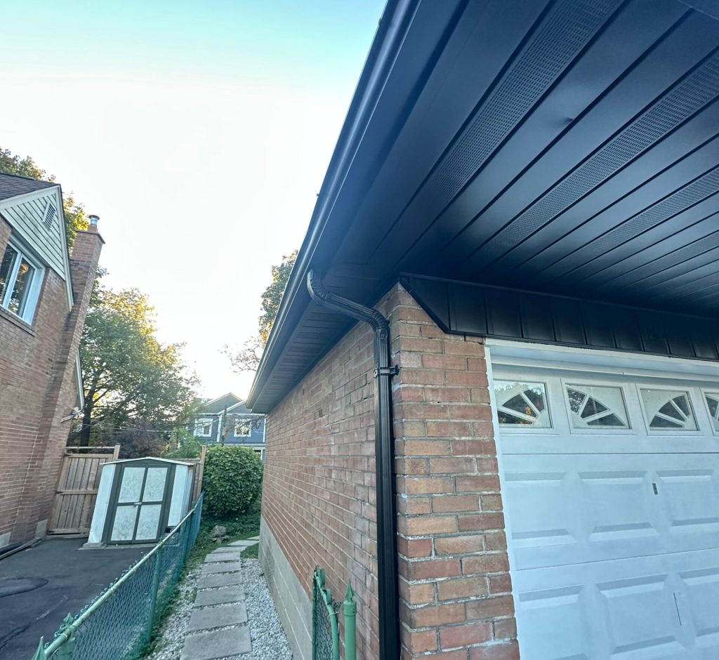 WhatsApp Image 2026-03-01 at 00.09.38