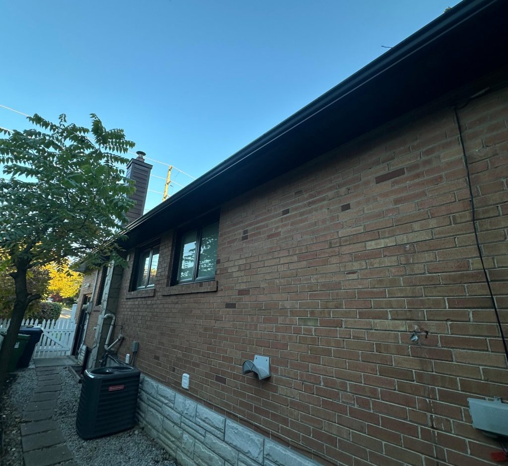 WhatsApp Image 2026-03-01 at 00.09.39