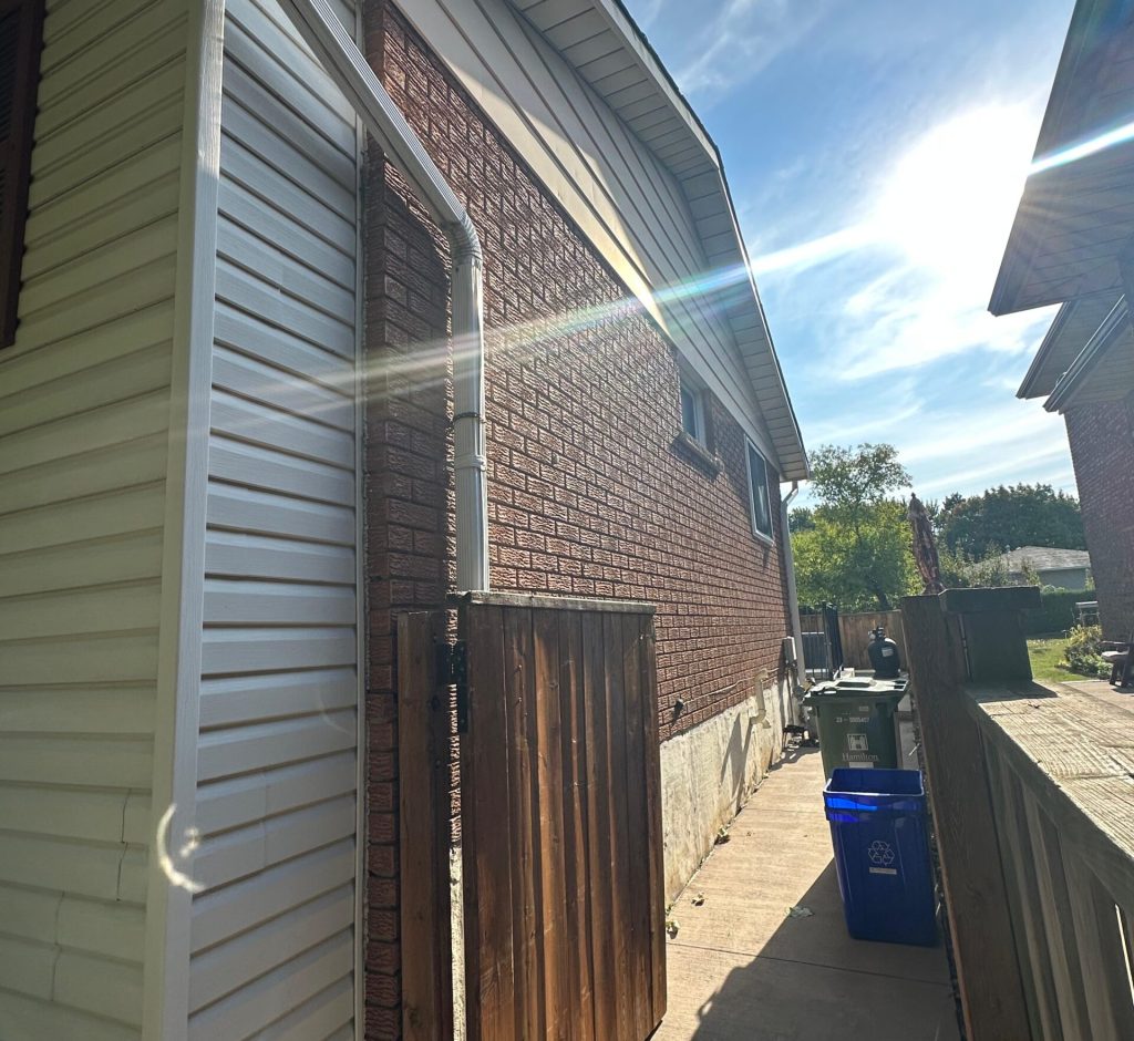 WhatsApp Image 2026-03-01 at 00.17.31 (1)