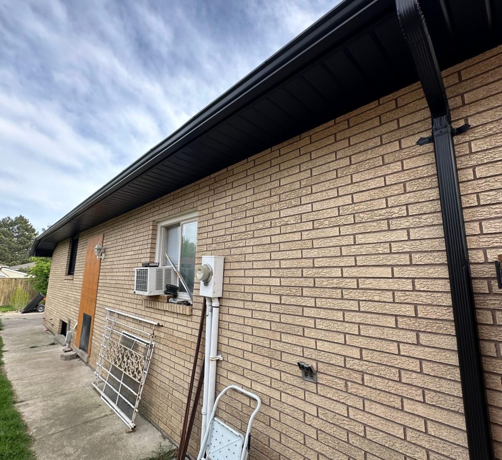 WhatsApp Image 2026-03-01 at 00.20.49 (1)