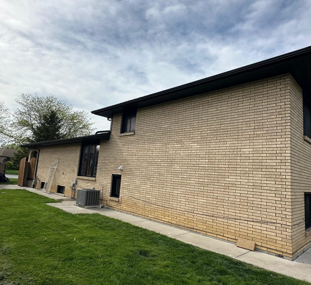 WhatsApp Image 2026-03-01 at 00.20.50