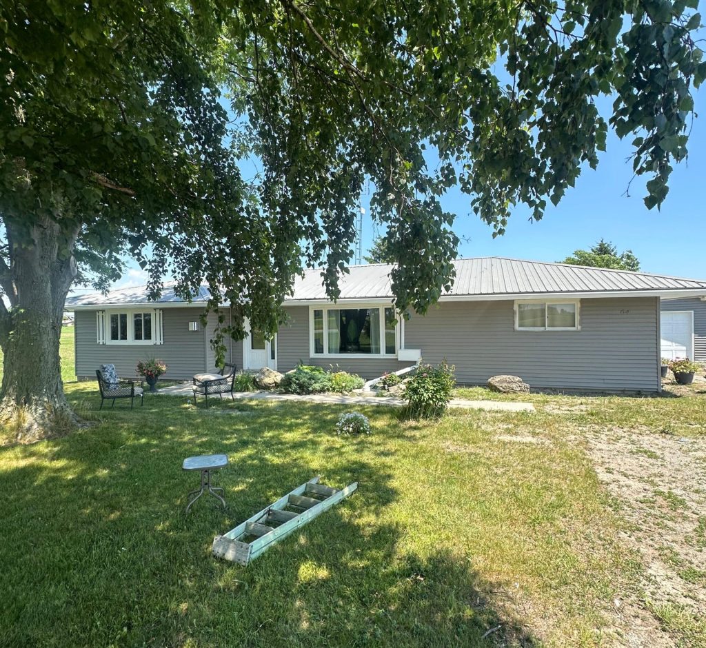 WhatsApp Image 2026-03-01 at 00.20.51 (1)