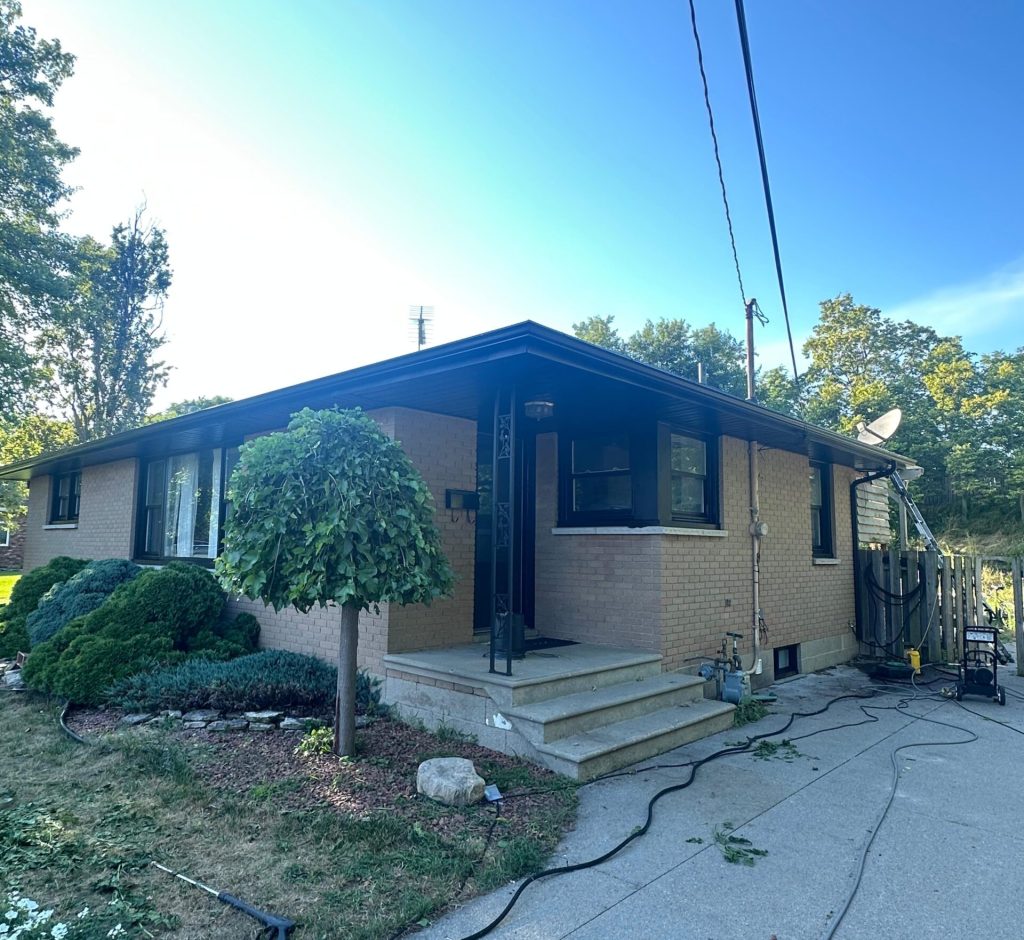 WhatsApp Image 2026-03-01 at 00.20.53 (1)