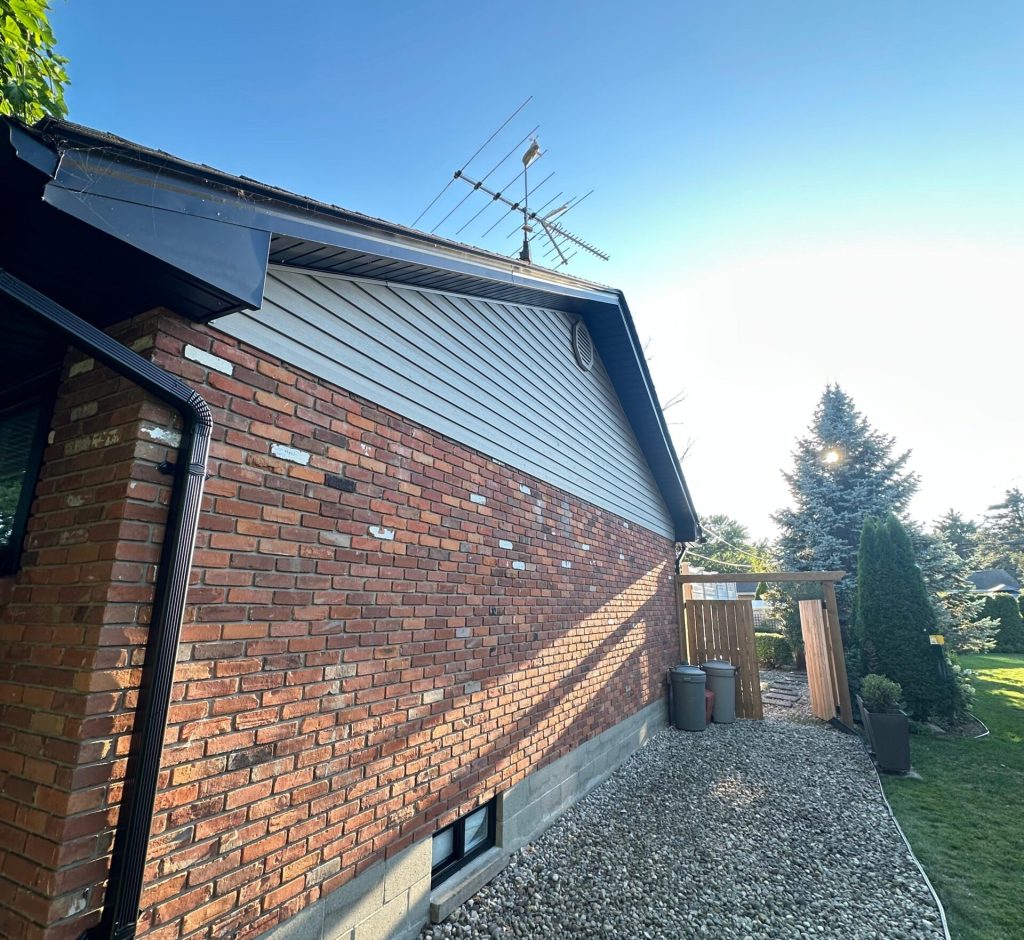 WhatsApp Image 2026-03-01 at 00.20.53 (4)