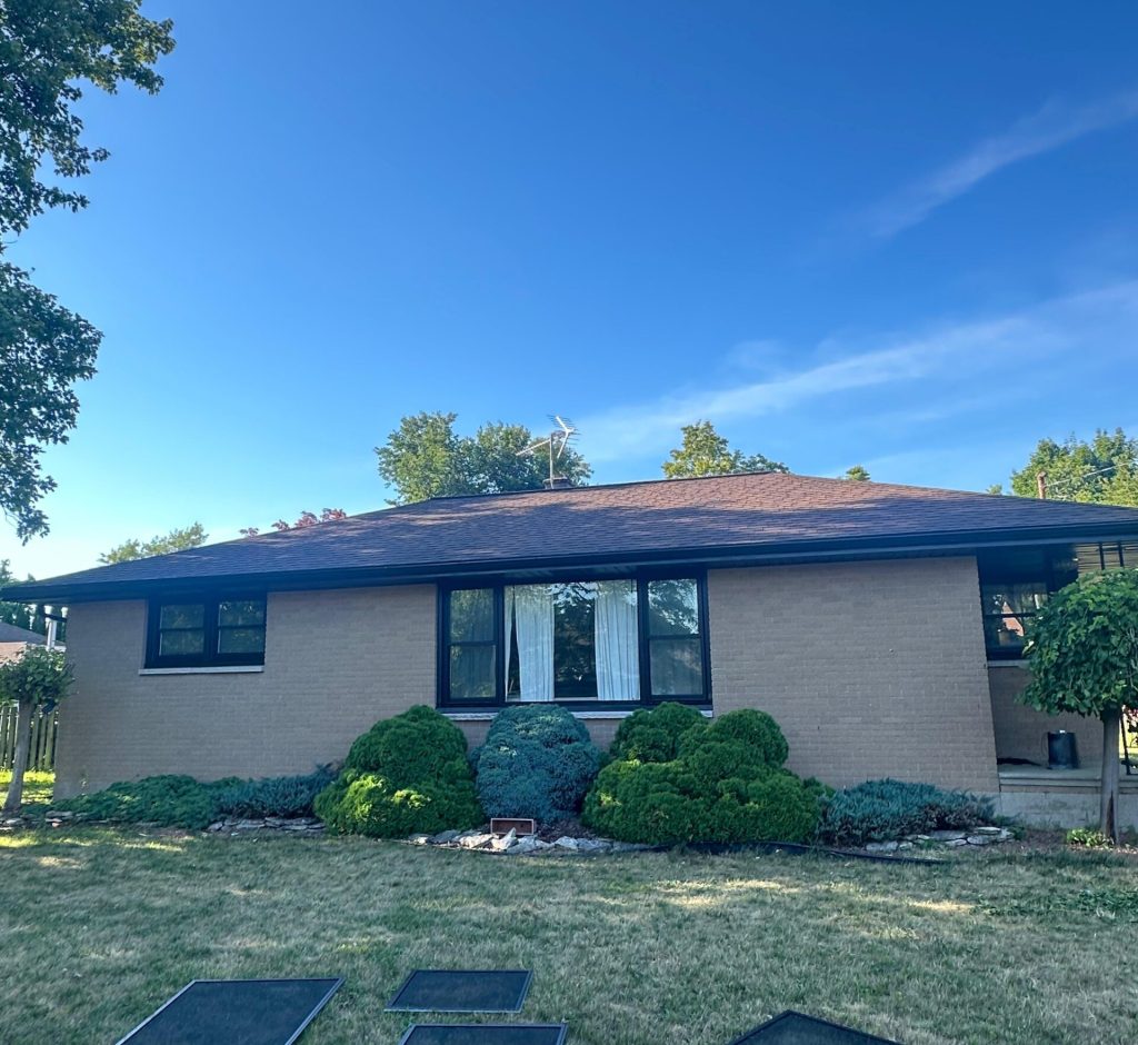 WhatsApp Image 2026-03-01 at 00.20.53